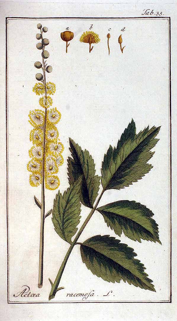 no HD illustration available (3)