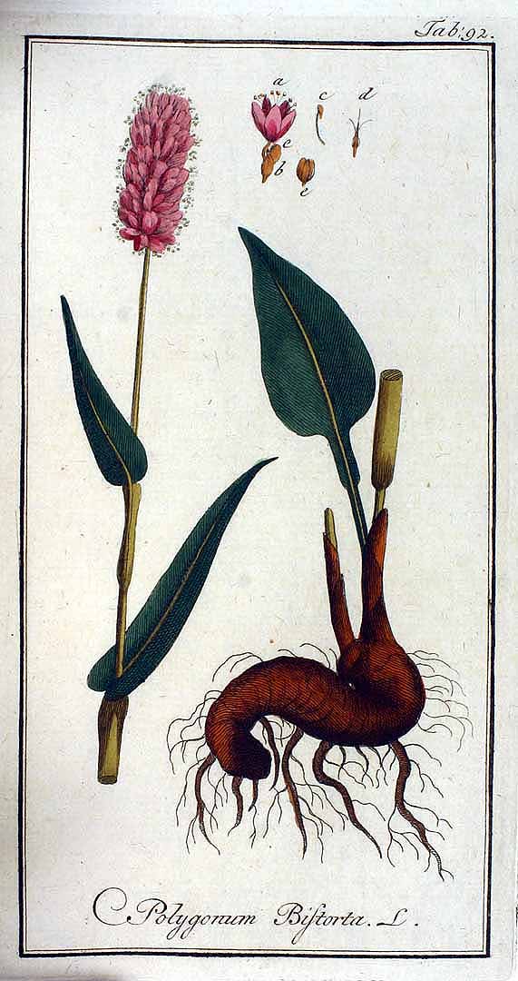 no HD illustration available (3)