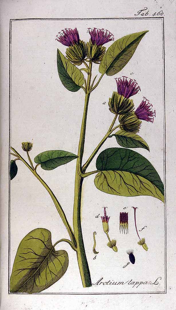 no HD illustration available (3)