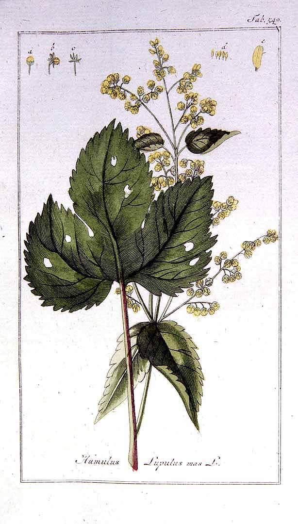 no HD illustration available (3)