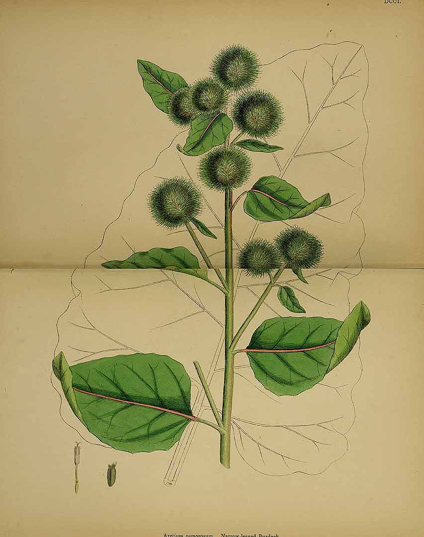 no HD illustration available (3)