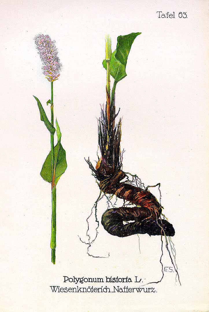 no HD illustration available (3)