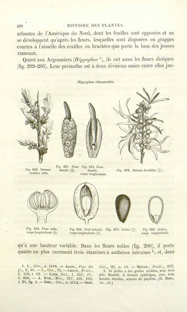 no HD illustration available (3)