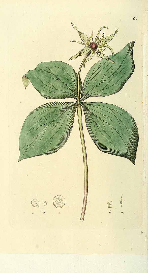 no HD illustration available (3)