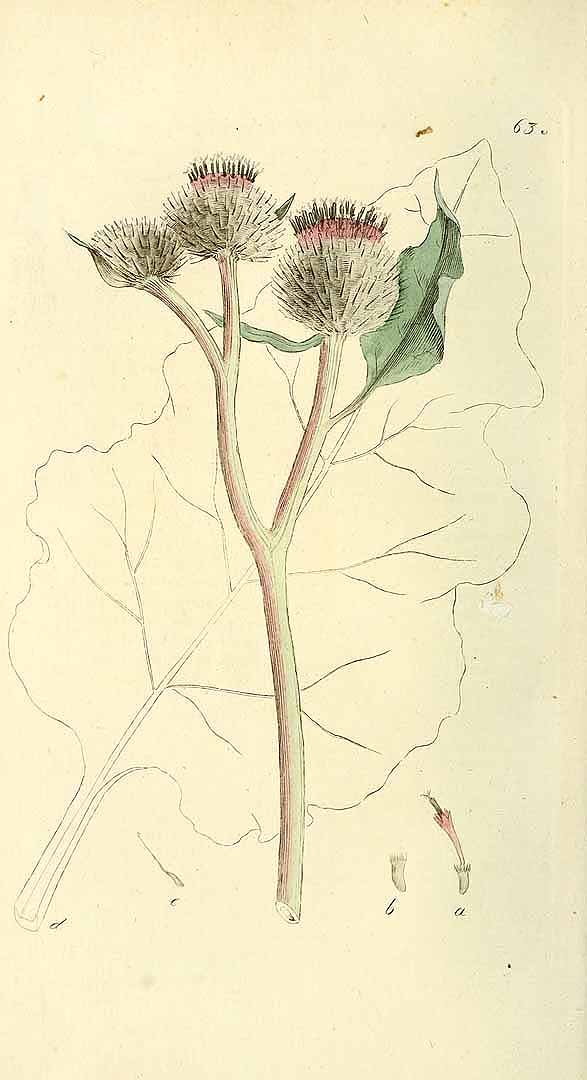 no HD illustration available (3)