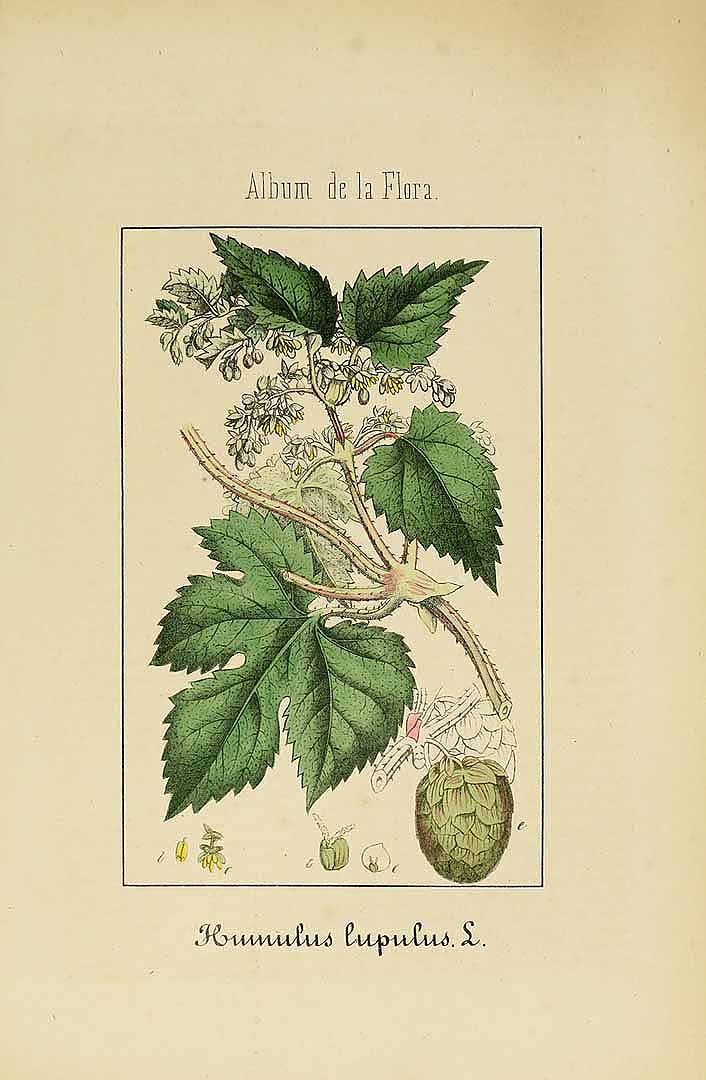 no HD illustration available (3)