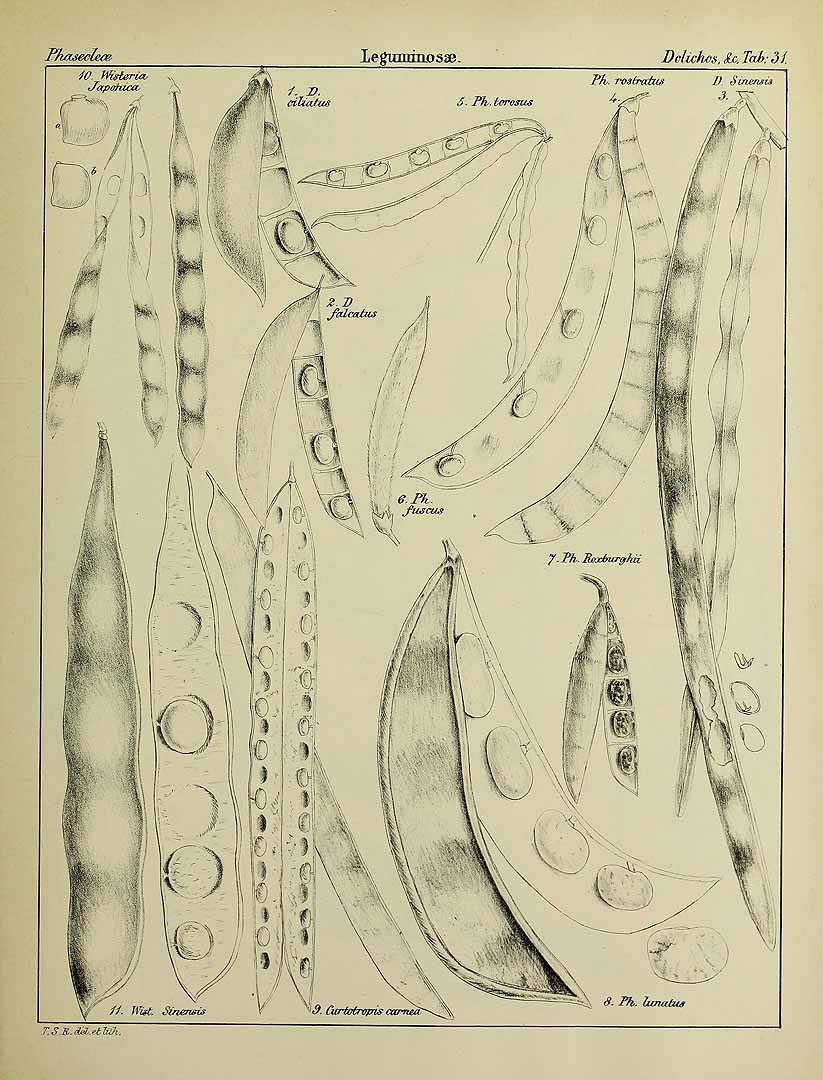 no HD illustration available (3)