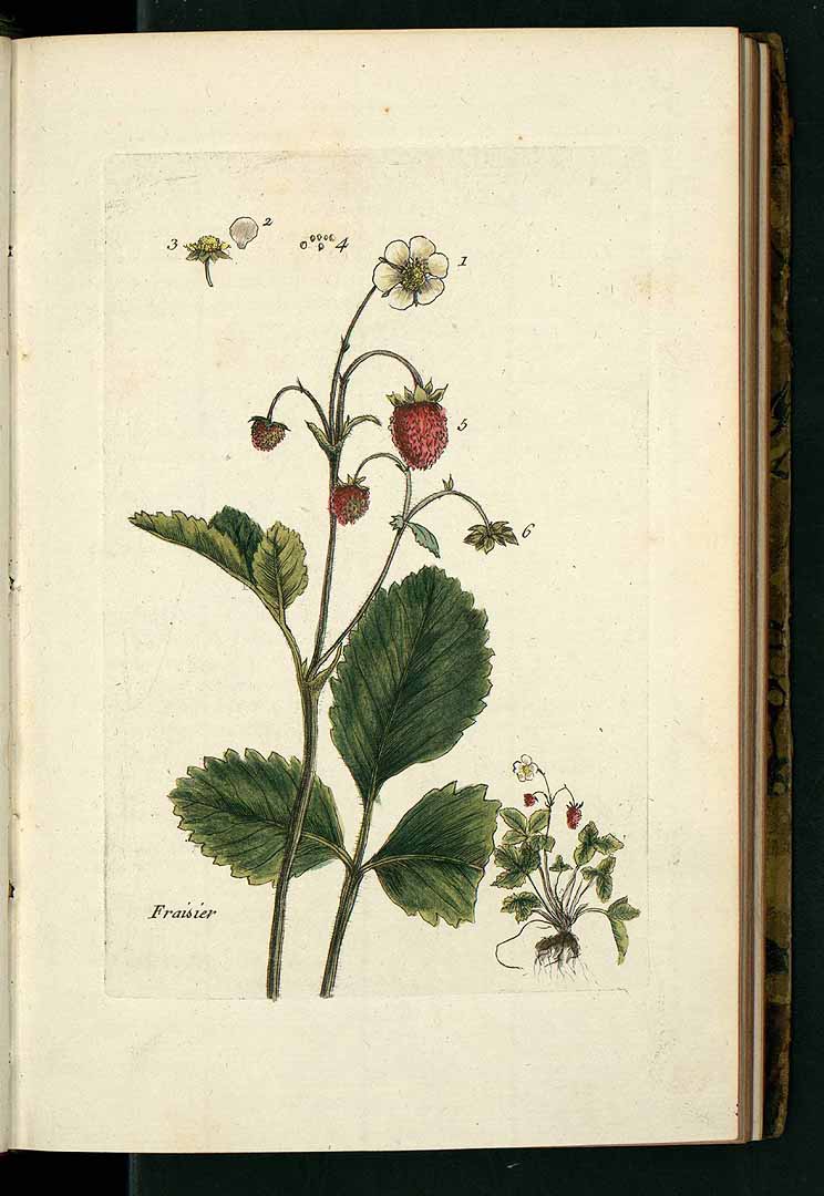 no HD illustration available (3)