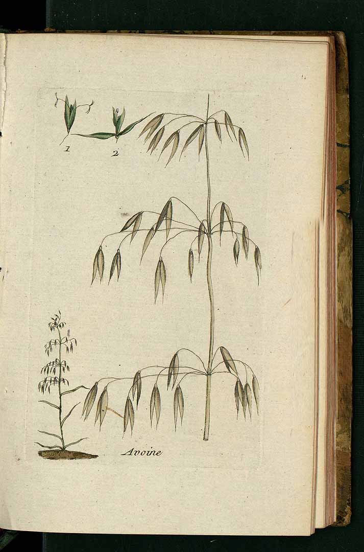 no HD illustration available (3)