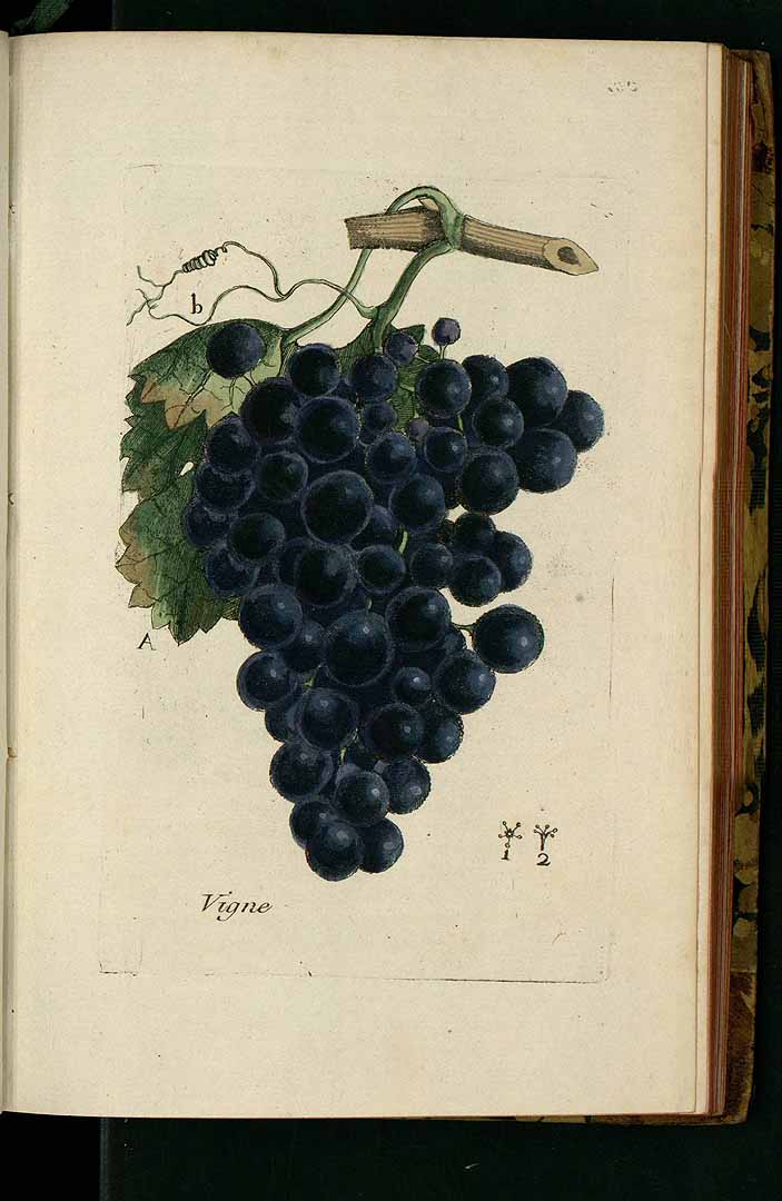 no HD illustration available (3)