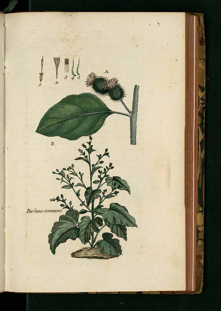 no HD illustration available (3)