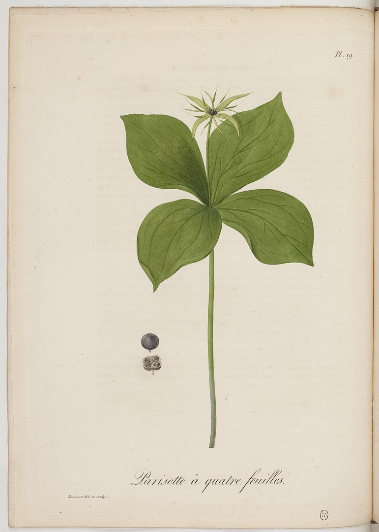 no HD illustration available (3)