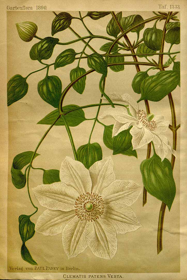 no HD illustration available (3)