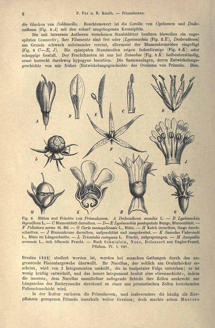 no HD illustration available (3)