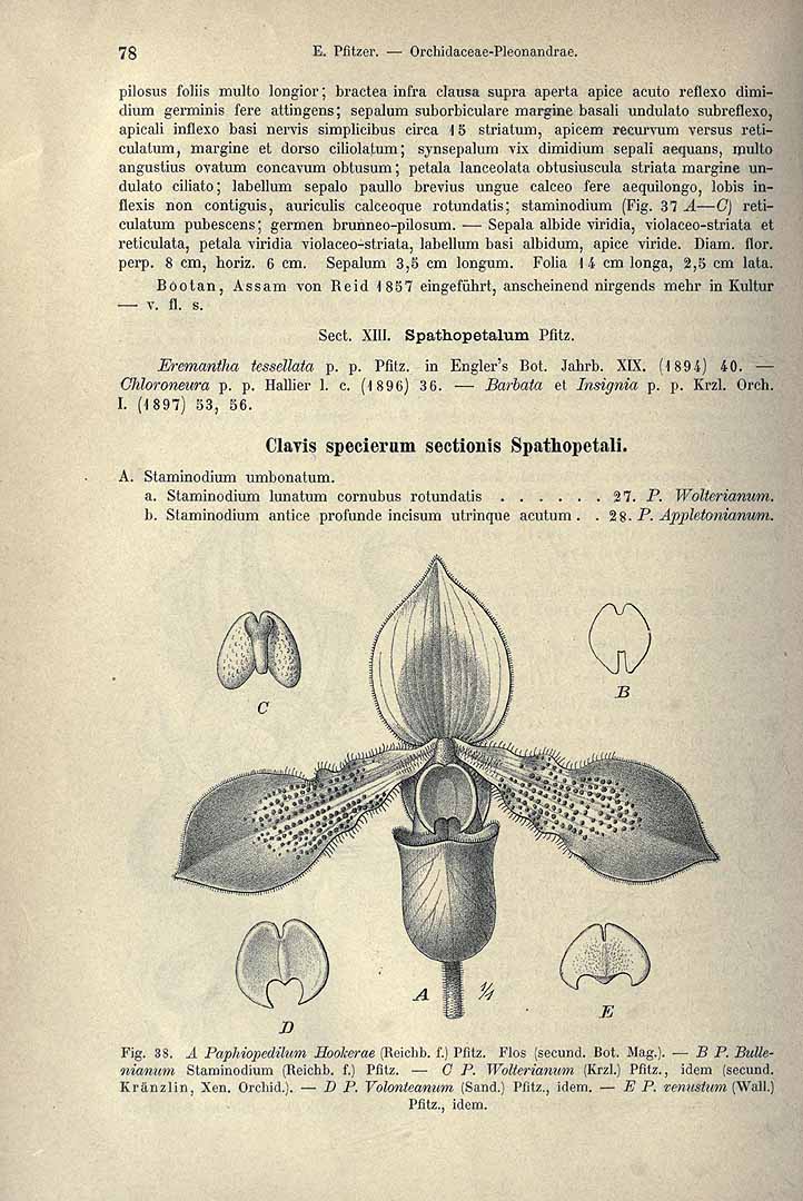 no HD illustration available (3)