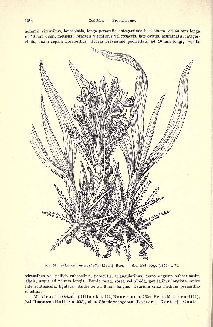 no HD illustration available (3)