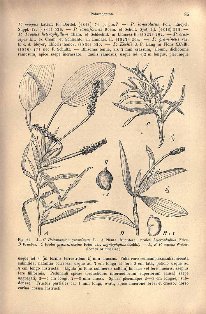 no HD illustration available (3)