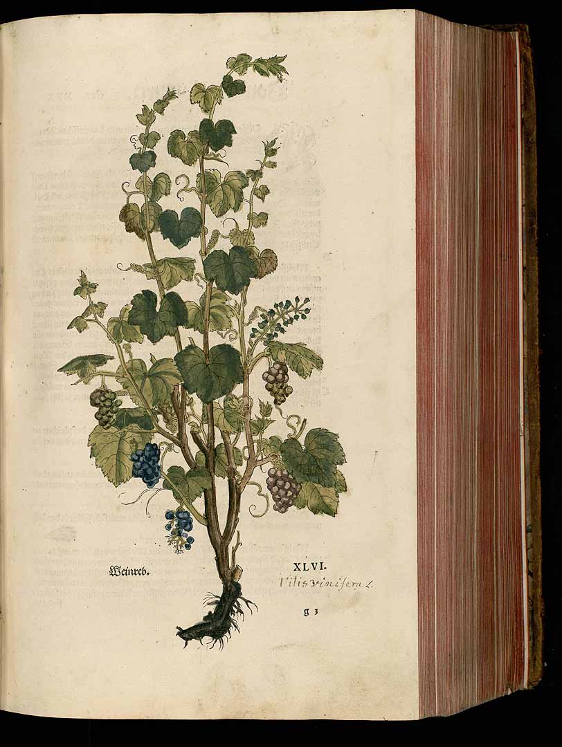 no HD illustration available (3)