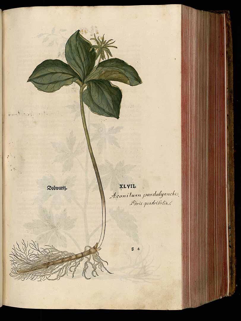 no HD illustration available (3)