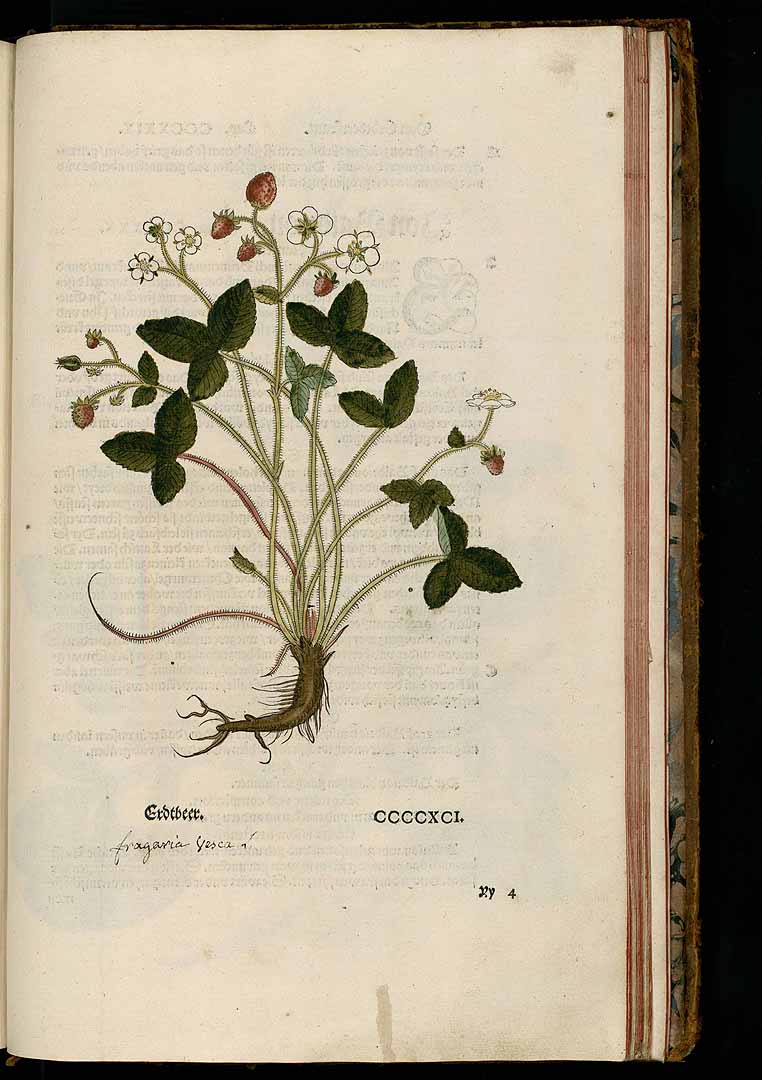 no HD illustration available (3)