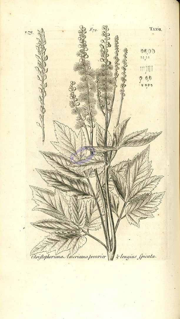 no HD illustration available (3)