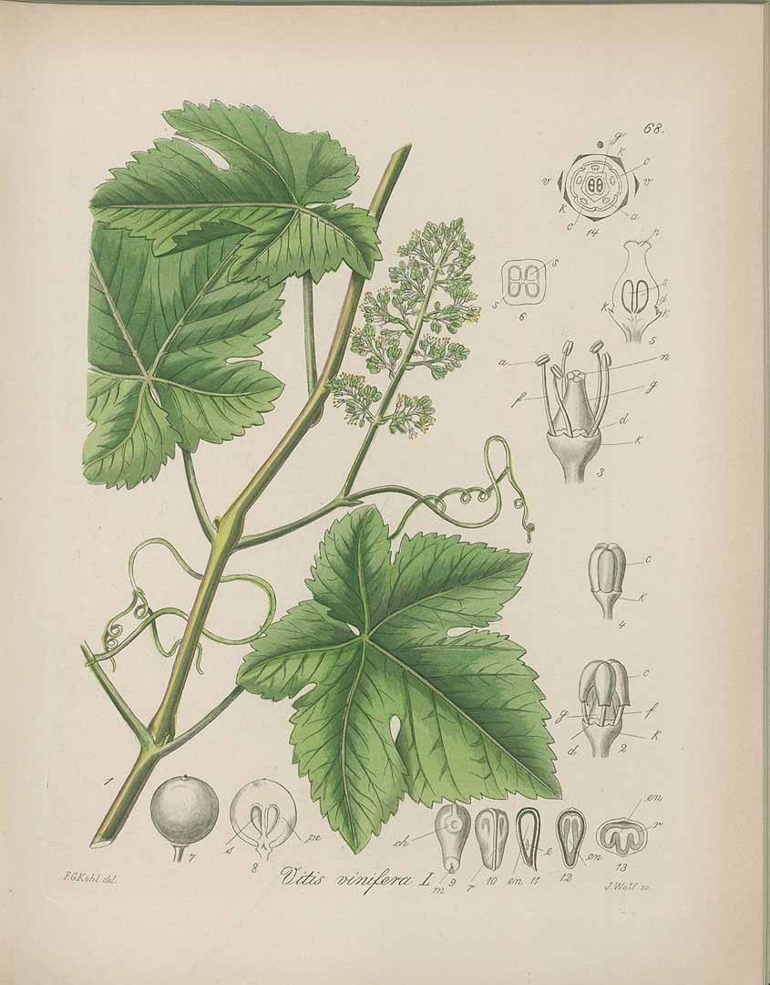 no HD illustration available (3)