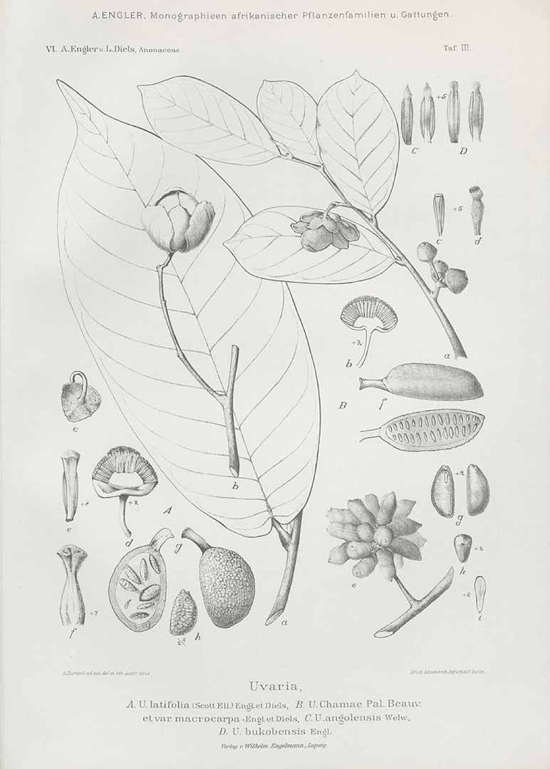 no HD illustration available (3)