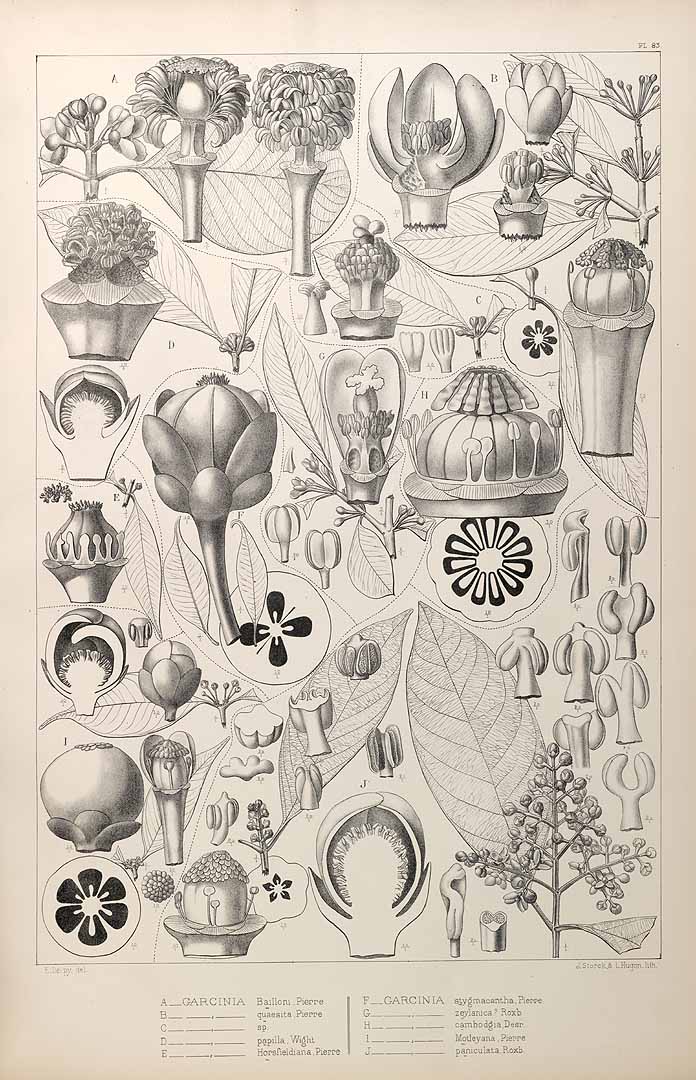 no HD illustration available (3)