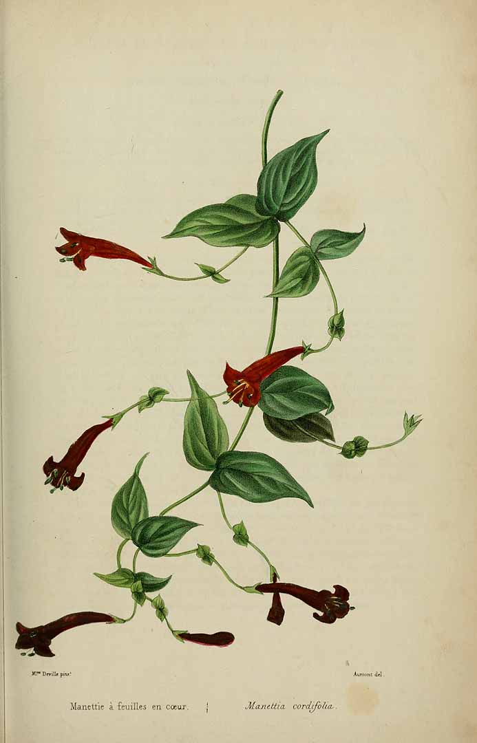 no HD illustration available (3)