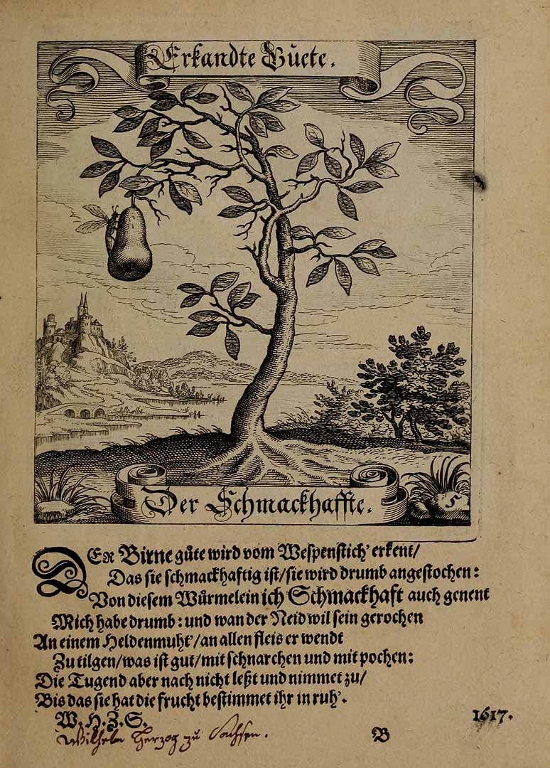 no HD illustration available (3)