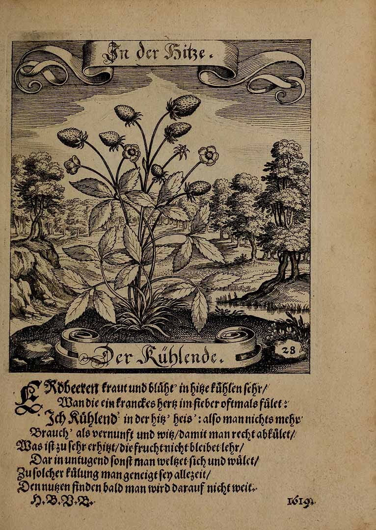 no HD illustration available (3)