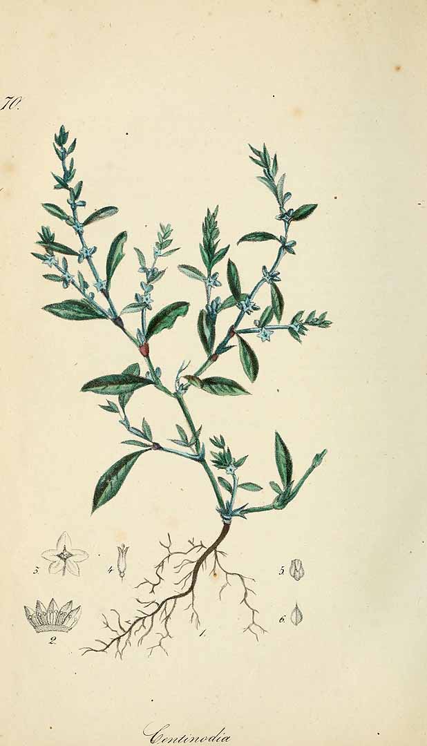 no HD illustration available (3)