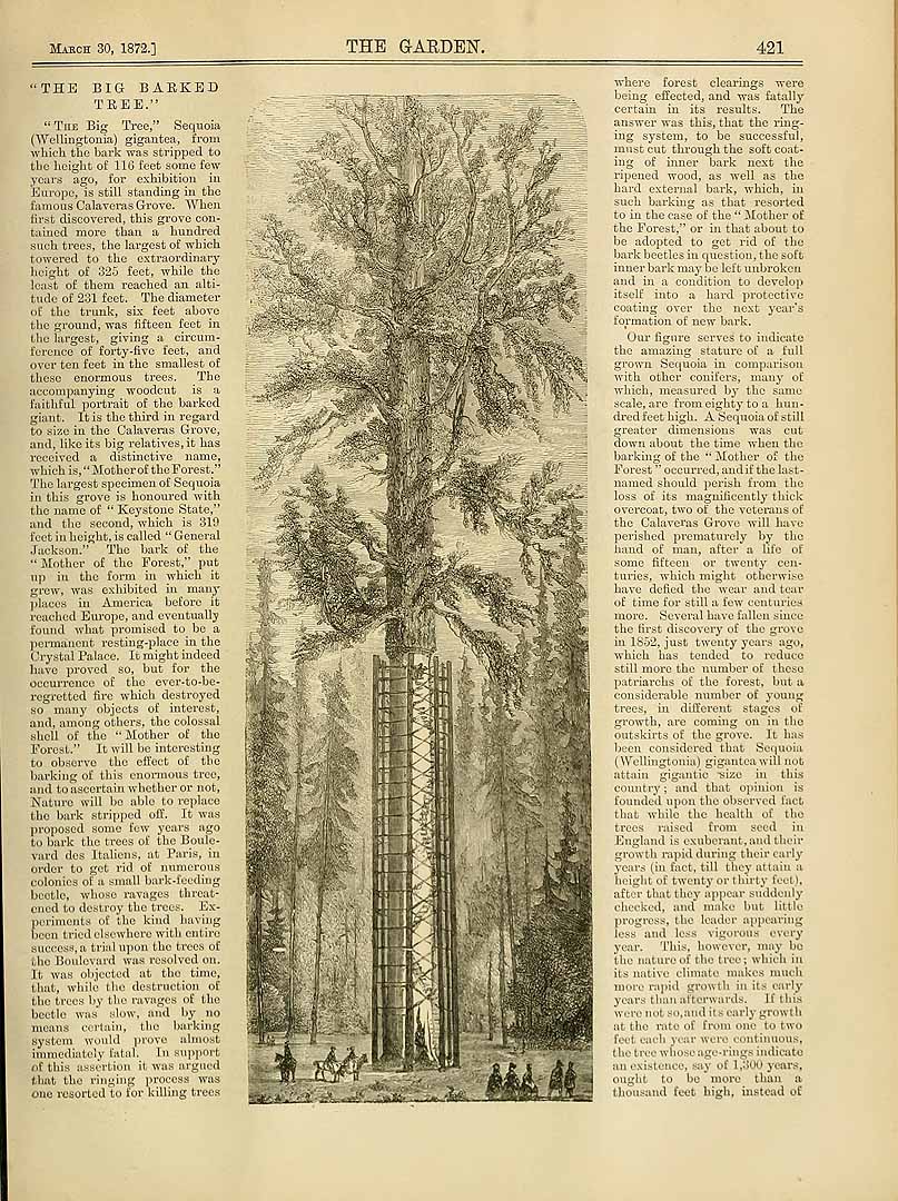 no HD illustration available (3)