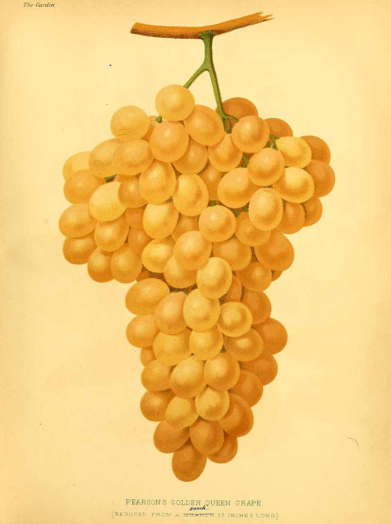 no HD illustration available (3)