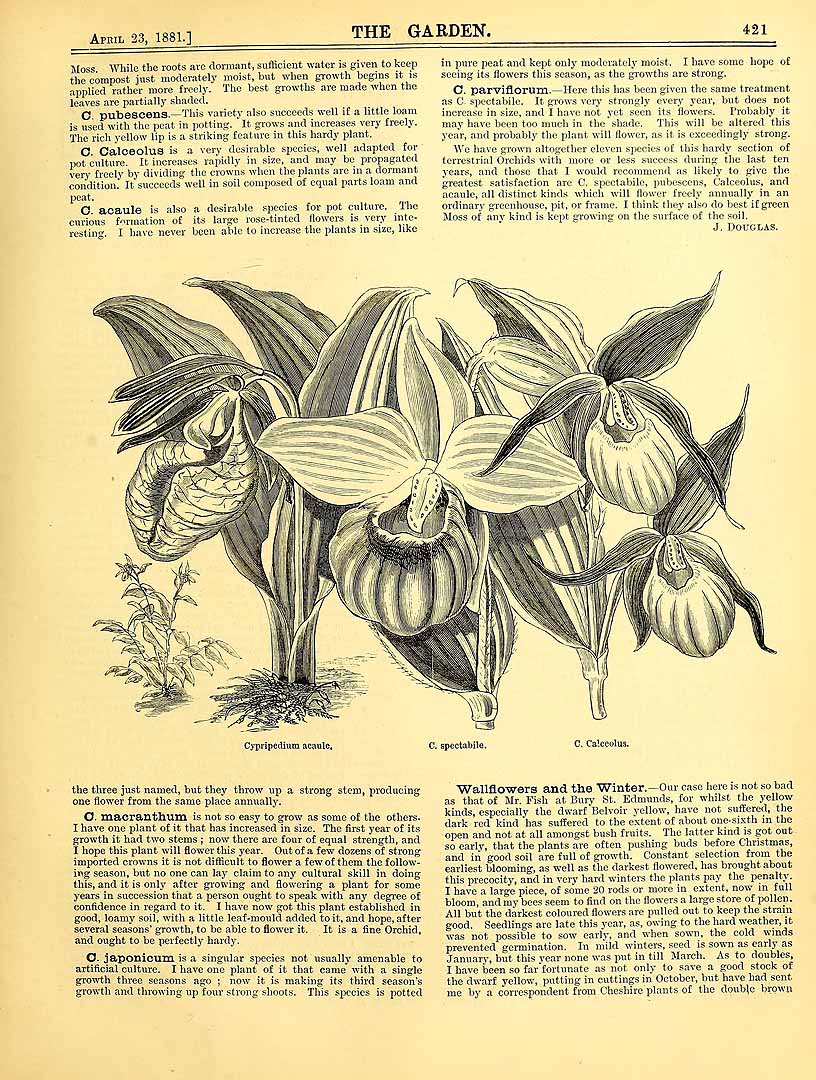 no HD illustration available (3)