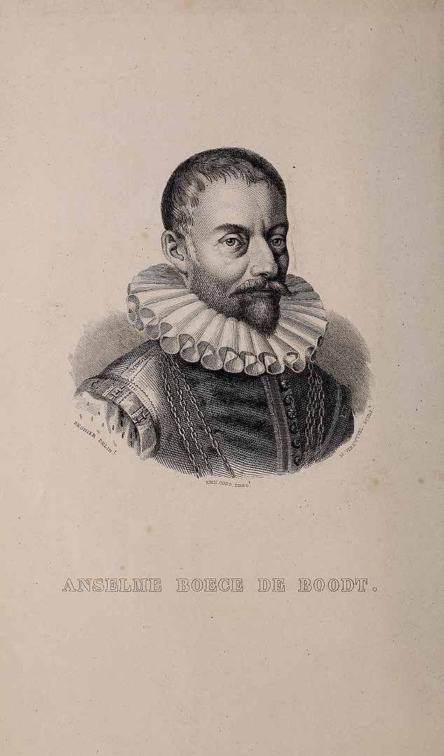 no HD illustration available (3)