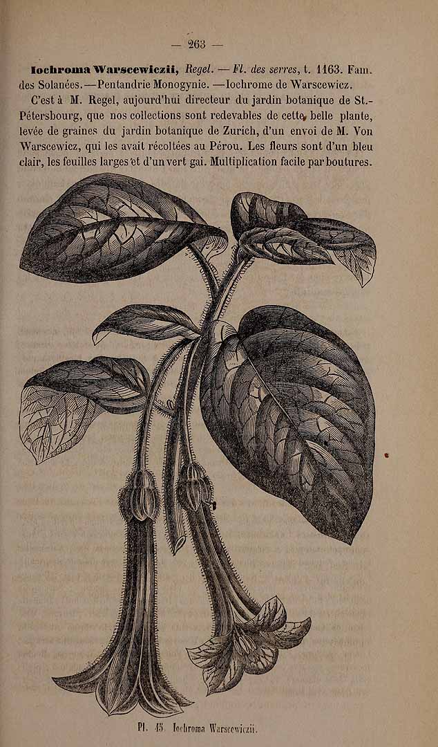 no HD illustration available (3)