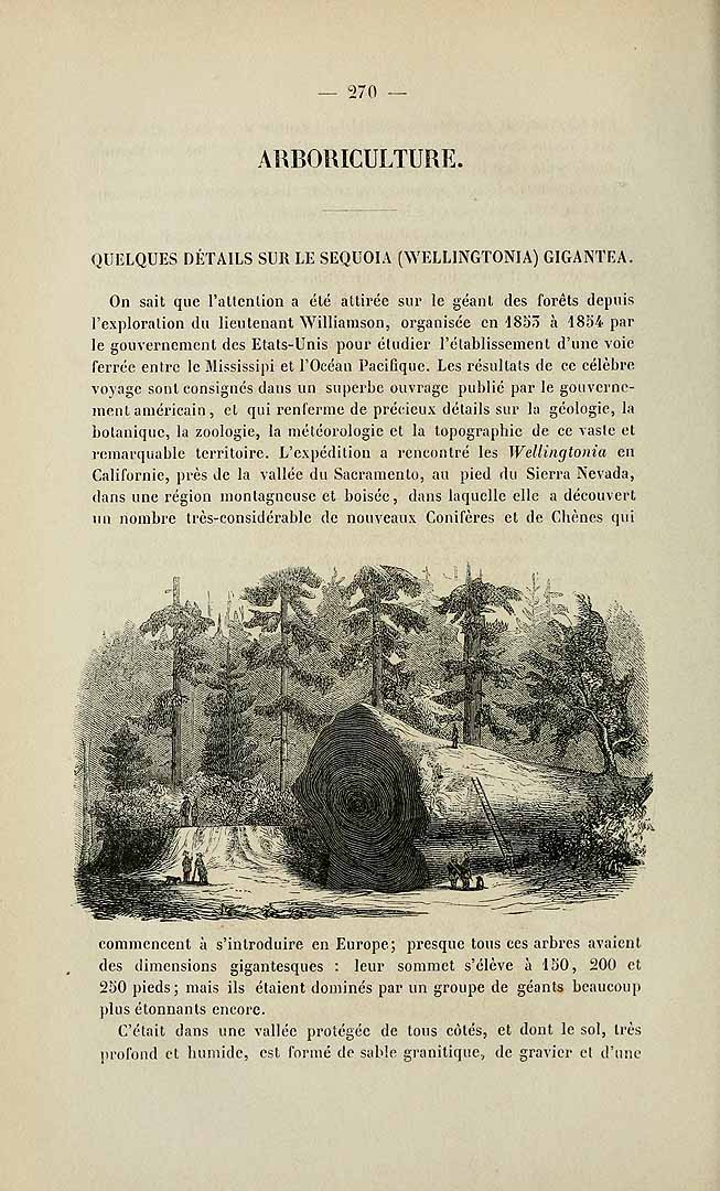 no HD illustration available (3)