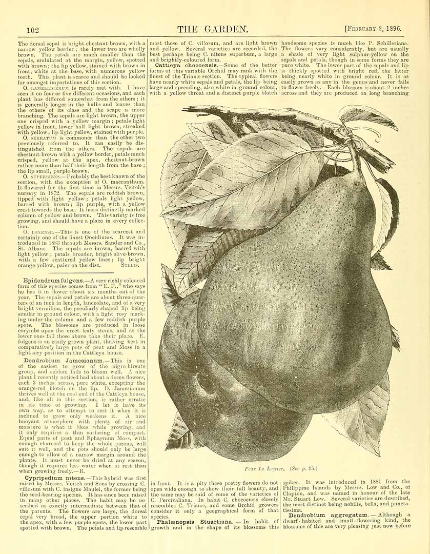 no HD illustration available (3)