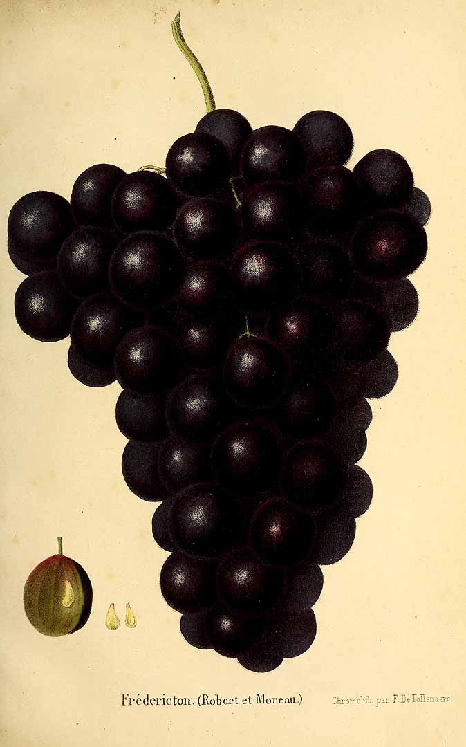 no HD illustration available (3)