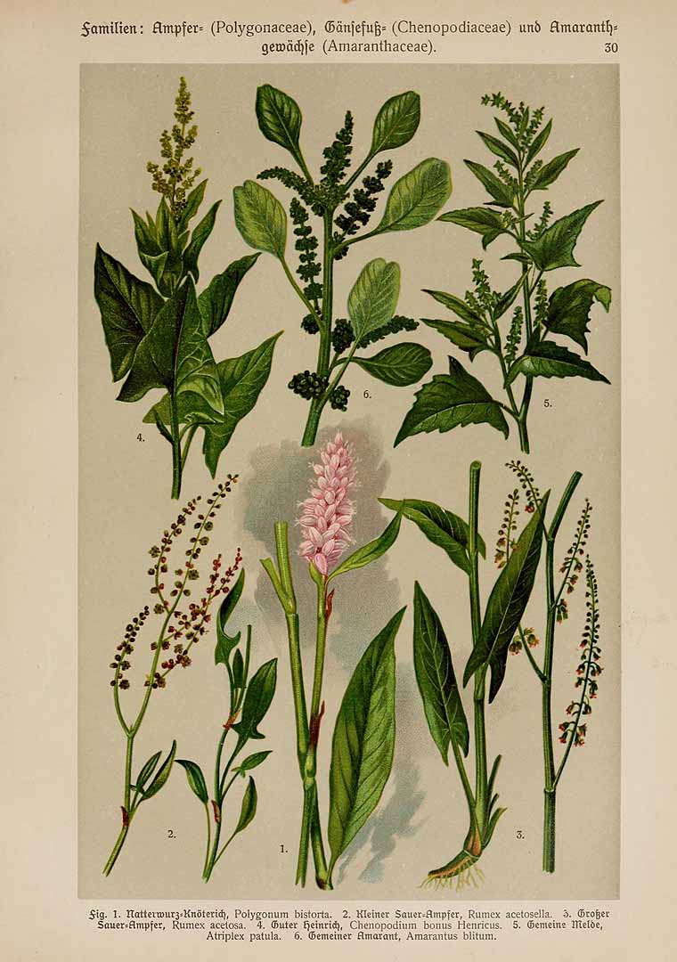 no HD illustration available (3)