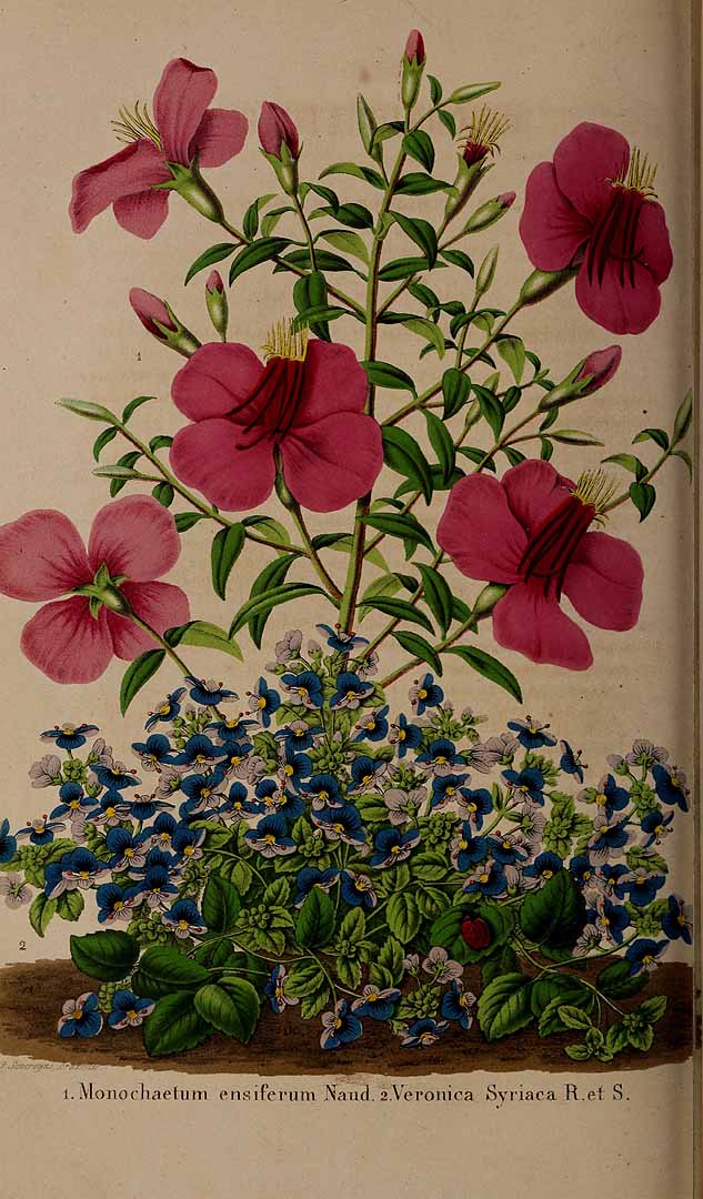 no HD illustration available (3)