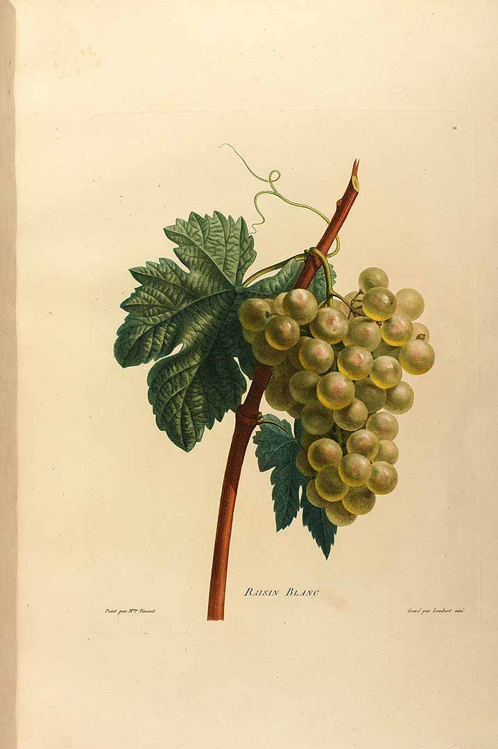 no HD illustration available (3)