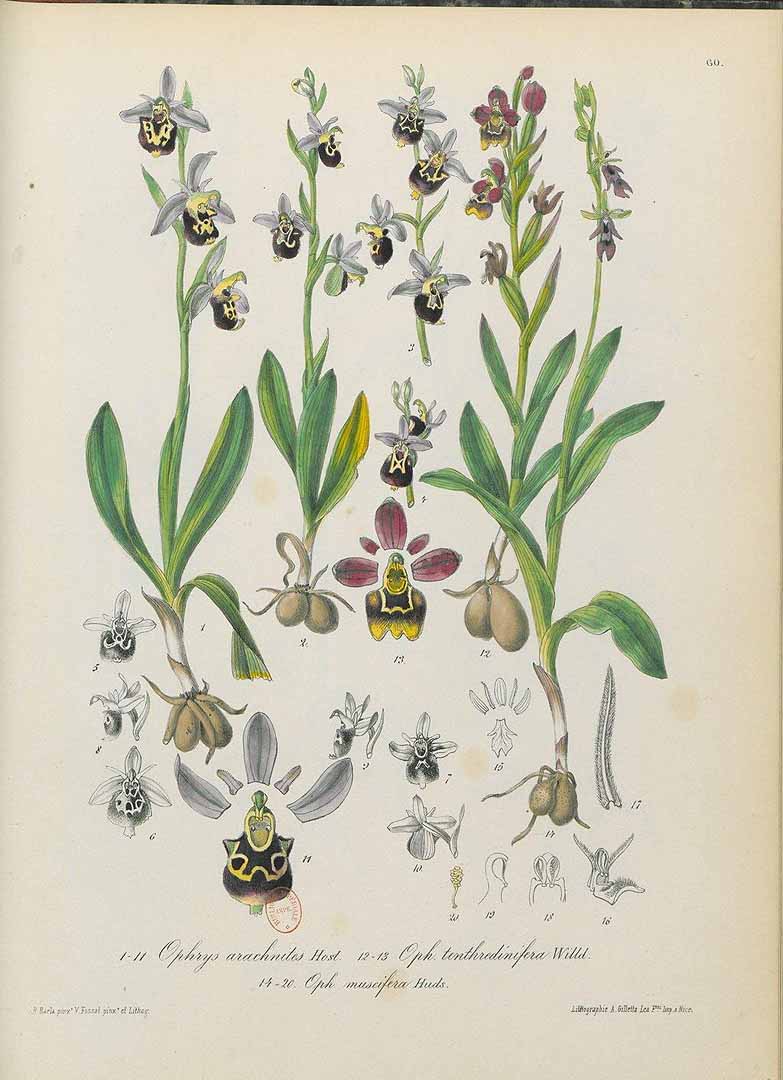 no HD illustration available (3)