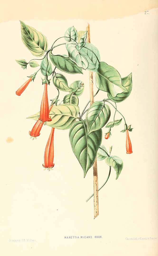 no HD illustration available (3)