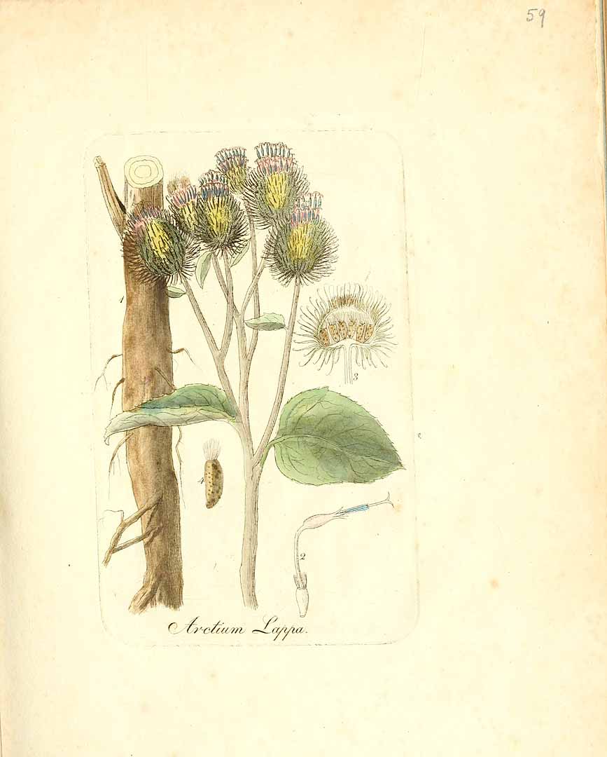 no HD illustration available (3)