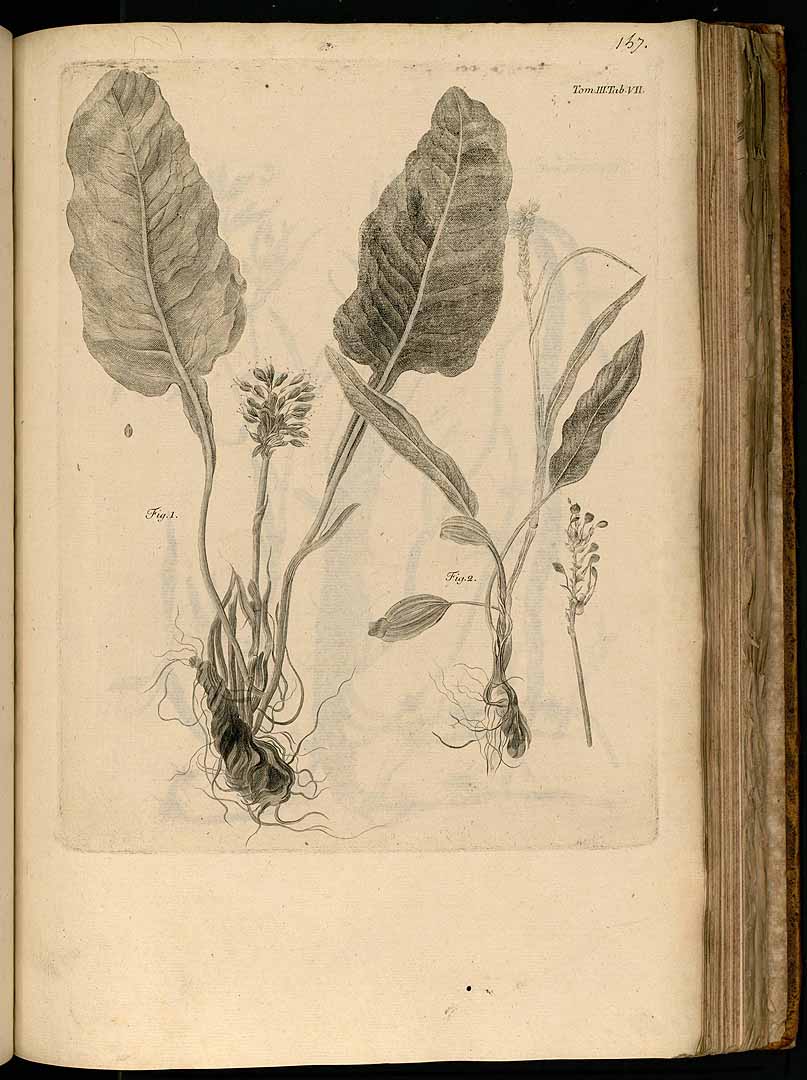 no HD illustration available (3)