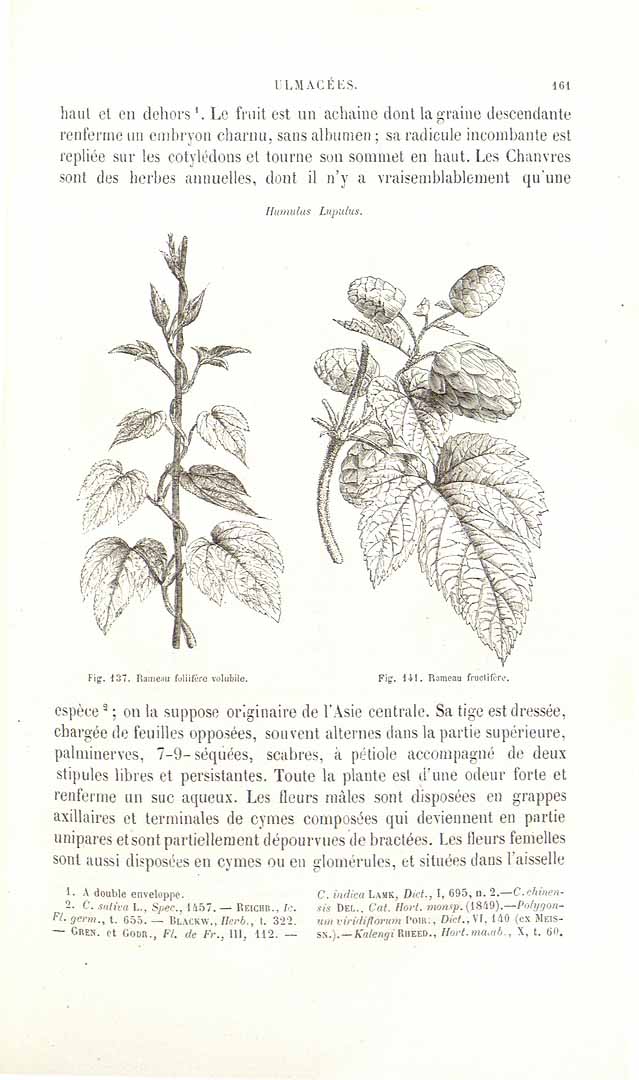 no HD illustration available (3)