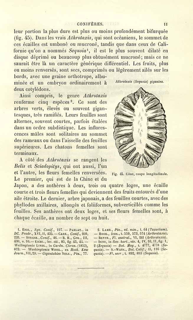 no HD illustration available (3)