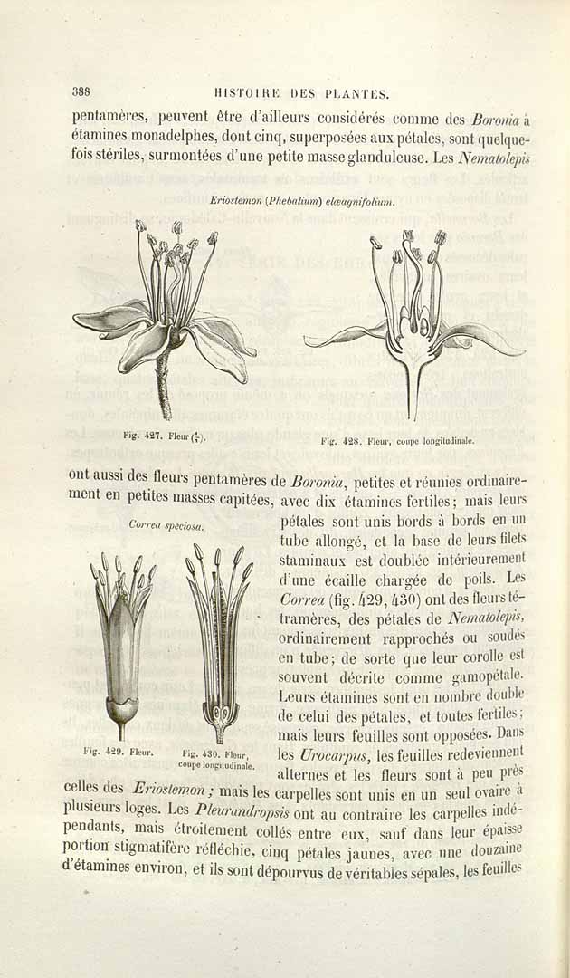 no HD illustration available (3)